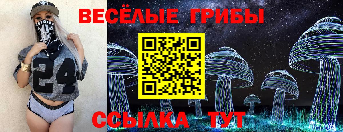 Галлюциногенные грибы Magic Shrooms Новоуральск